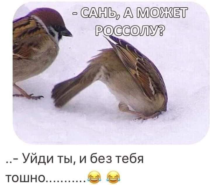 А ЖЁЁ Уйди ты и без тебя тошно О