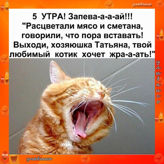 5 УТРА Запева а а айш Расцветапи мясо и сметана говорили что пора вставать Выходи хозяюшка Татьяна твой любимый котик хочет ж а а ать