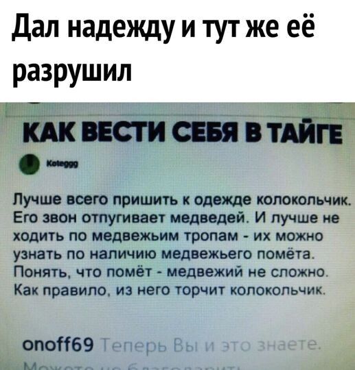 Дал надежду и тут же её разрушил Лучше всею пришть одежде полотнищ Его звон отпугивает медведей И пучшн не ходить по медвежьи тропам их можно узнать по наличию мвдвежьею помета Понять что помёт мвдвежий не сложно Как правило из него торчит колокольчик