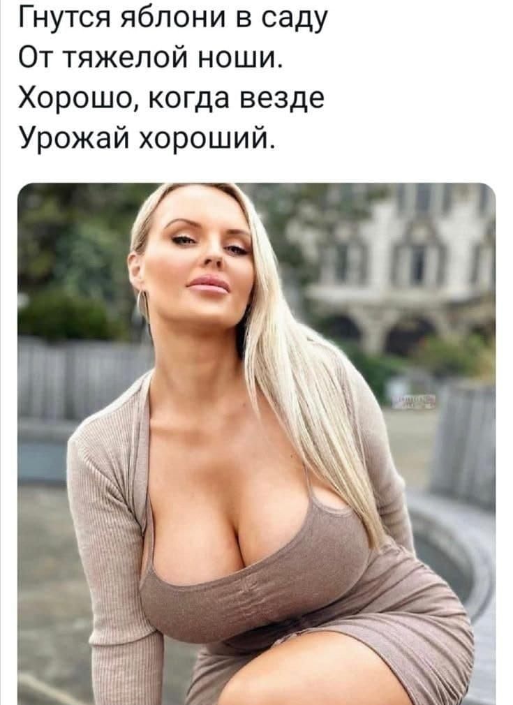 Гнутся яблони в саду От тяжелой ноши Хорошо когда везде Урожай хороший