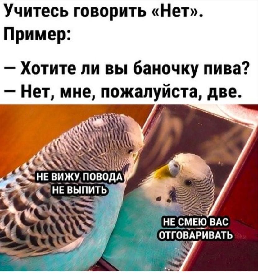 Учитесь говорить Нет Пример Хотите ли вы баночку пива Нет мне пожалуйста две Ёвижуп НЕ ВЫПИТЬ