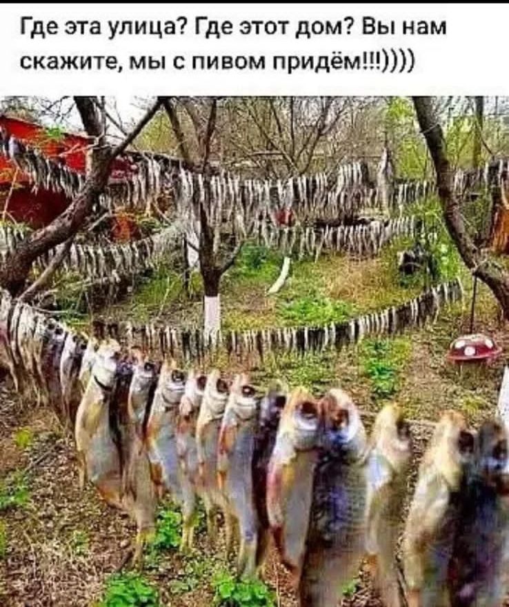 Где эта улица Где этот дом Вы нам скажите мы с пивом придём