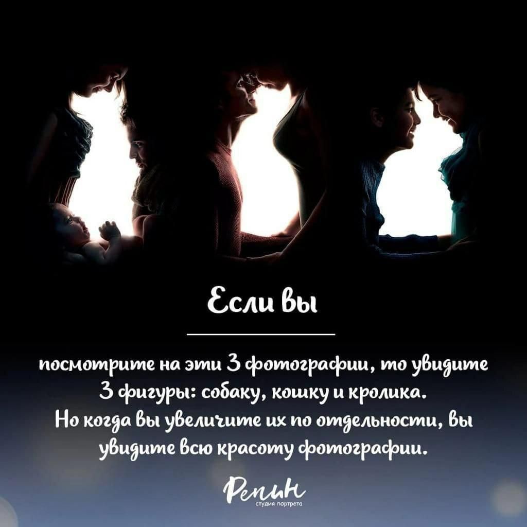 Если вы посмотрите фотаірифпц вы 3 фигуры собаку кашку кролика На да вы увы отдельном Би ши Всю красоту фотографии