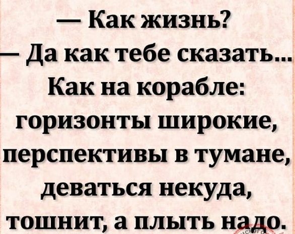 Как жизнь Да как тебе сказать Как на корабле горизонты широкие перспективы в тумане деваться некуда тошнит а плыть надо