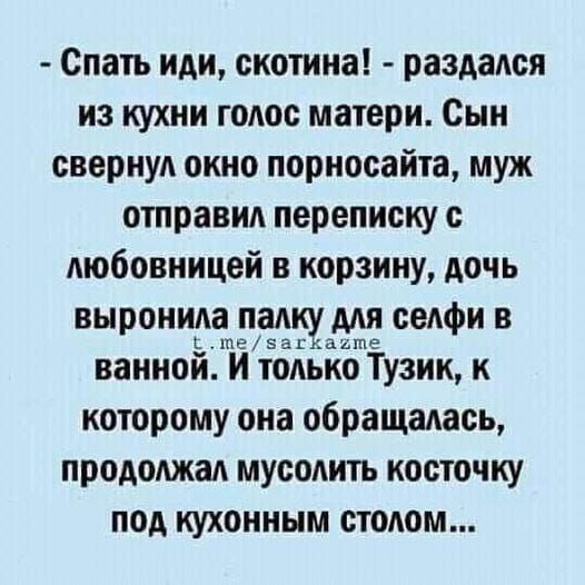 Спать иди скотина раздался из кухни голос матери Сын свернул окно порносайта муж отправил переписку с мюбовницей в корзину дочь выронила палку для селфи в ванной И только Тузик к которому она обращалась продолжал мусолить косточку под кухонным столом