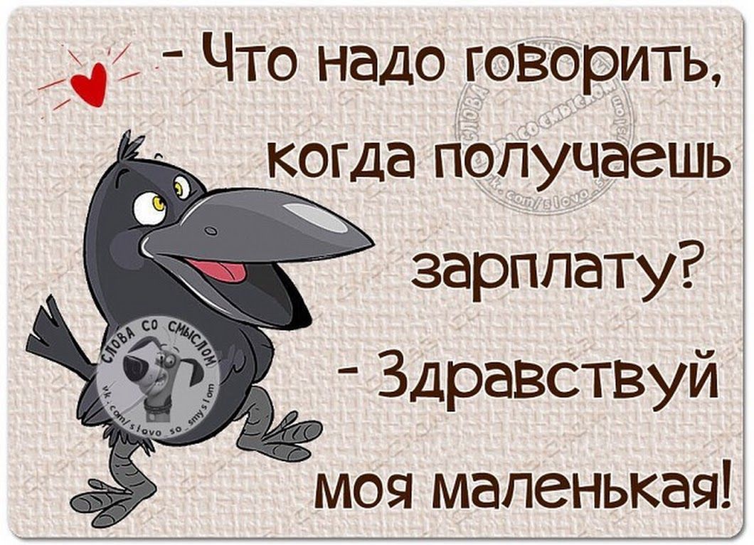 ц Что надо говорить когда получаешь зарплату Здравствуй моя маленькая