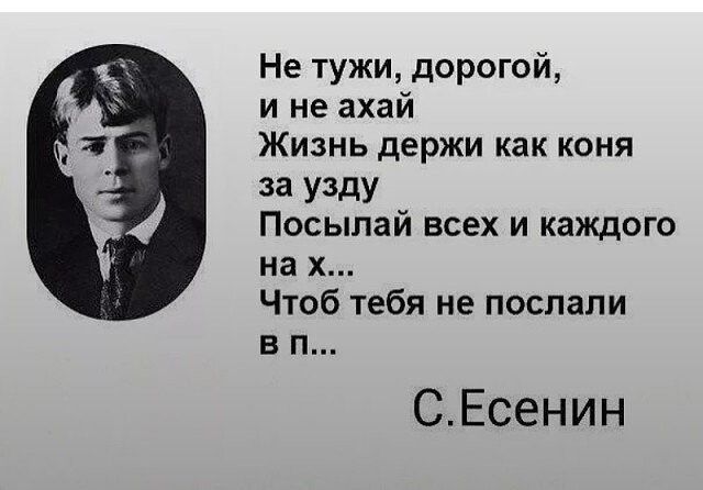 Не тужи дорогой и не ахай Жизнь держи как коня за узду Посылай всех и каждого на х Чтоб тебя не послали вп СЕсенин