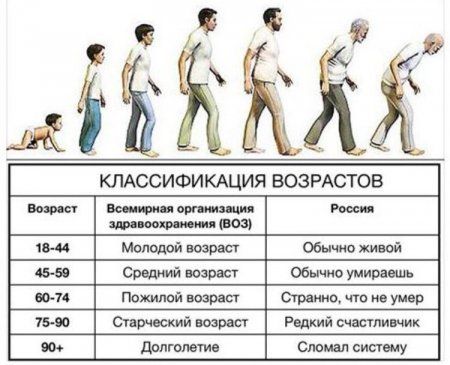 ИМА КЛАССИФИКАЦИЯ ВОЗРАСТОВ Возраст Всемирная организация Россия здравоохранения ВОЗ 18 44 Молодой возраст Обычно живой 45 59 Средний возраст Обычно умираешь 60 74 Пожилой возраст Странно что не умер 75 90 Старческий возраст Редкий счастливчик 904 Долголетие Сломал систему