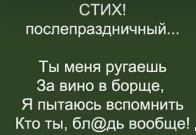 СТИХ послепраздничный Ты меня ругаешь За вино в борще Я пытаюсь вспомнить Кто ты блдь вообще