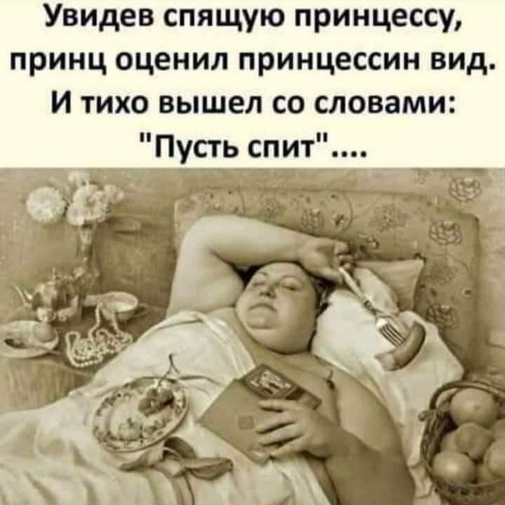 Увидев спящую принцессу принц оценил принцессин вид И тихо вышел со словами Пусть спит