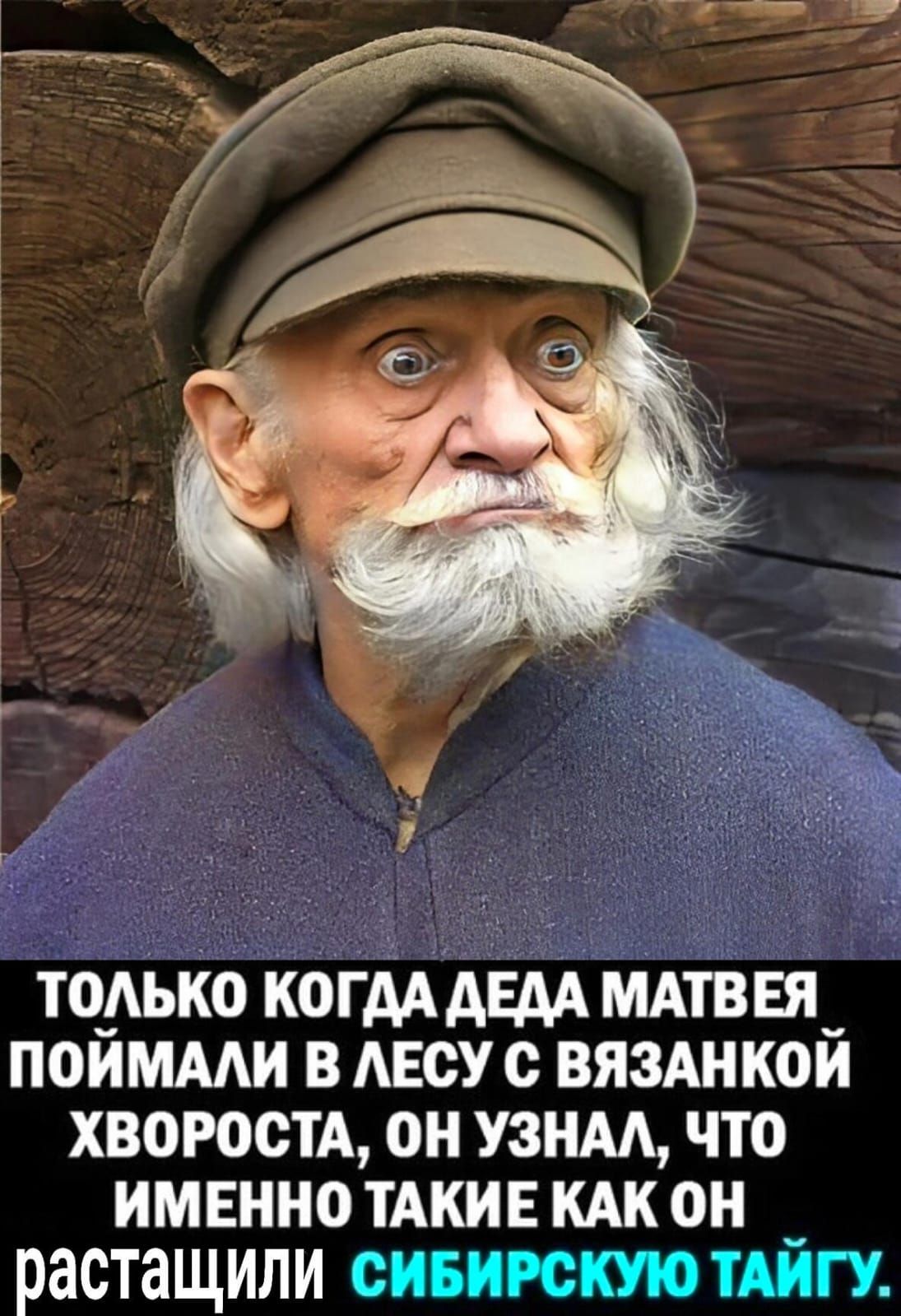 ТОЛЬКО КОГДА ДЕДА МАТВЕЯ _ ПОИМАЛИ В ЛЕСУ С ВЯЗАНКОЙ ХВОРОСТА ОН УЗНАЛ ЧТО ИМЕННО ТАКИЕ КАК ОН _ растащили СИБИРСКУЮ ТАИГУ