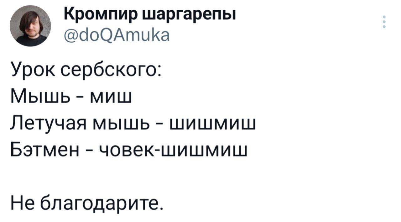 Кромпир шаргарепы й0ОАтика Урок сербского Мышь миш Летучая мышь шишмиш Бэтмен човек шишмиш Не благодарите