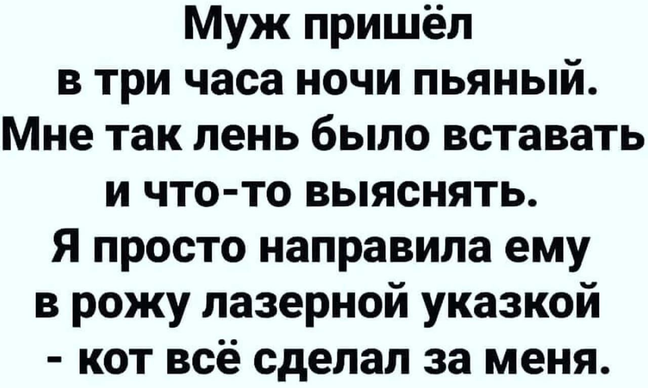 Муж пришёл в три часа ночи пьяный Мне так лень было вставать и что то выяснять Я просто направила ему в рожу лазерной указкой кот всё сделал за меня