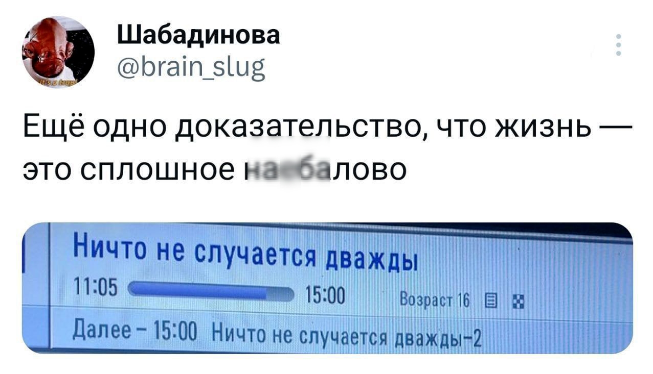 Шабадинова Бгап_5ив Ещё одно доказательство что жизнь это сплошное наябалово Ничто не случается дважды 1105 и 1500 Возраст 6 Е алее 1500_Ничто не случается дважды