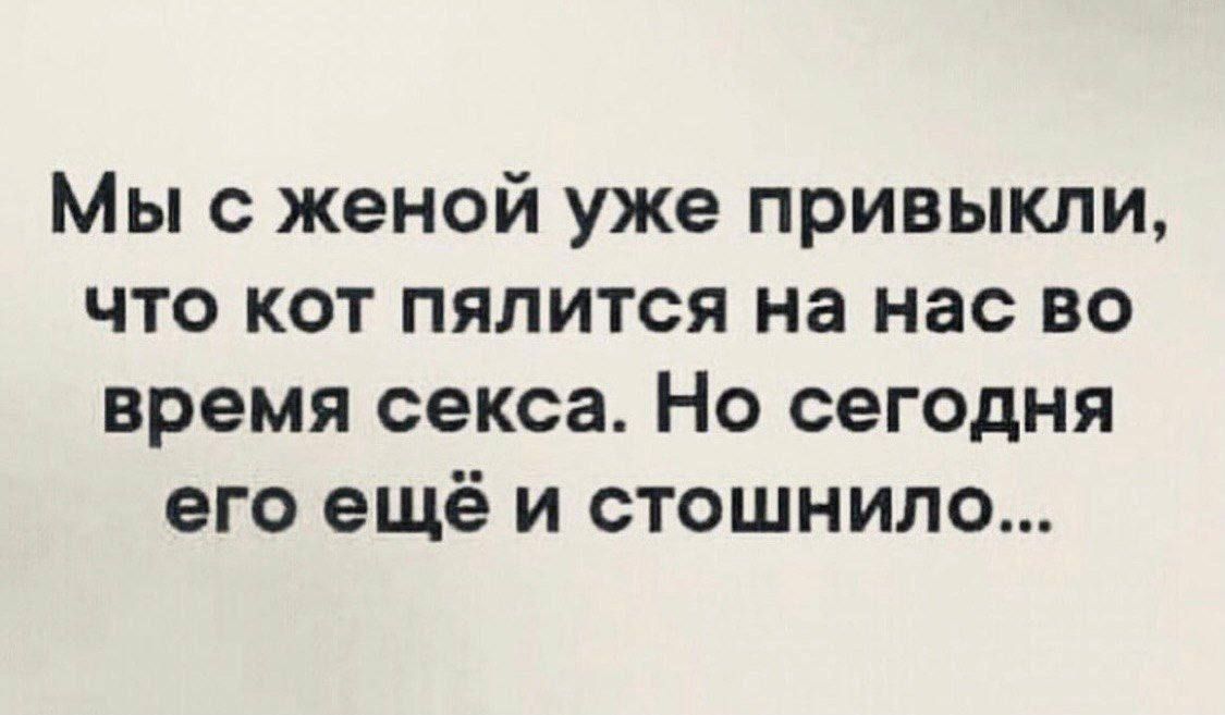 Мы с женой уже привыкли что кот пялится на нас во время секса Но сегодня его ещё и стошнило