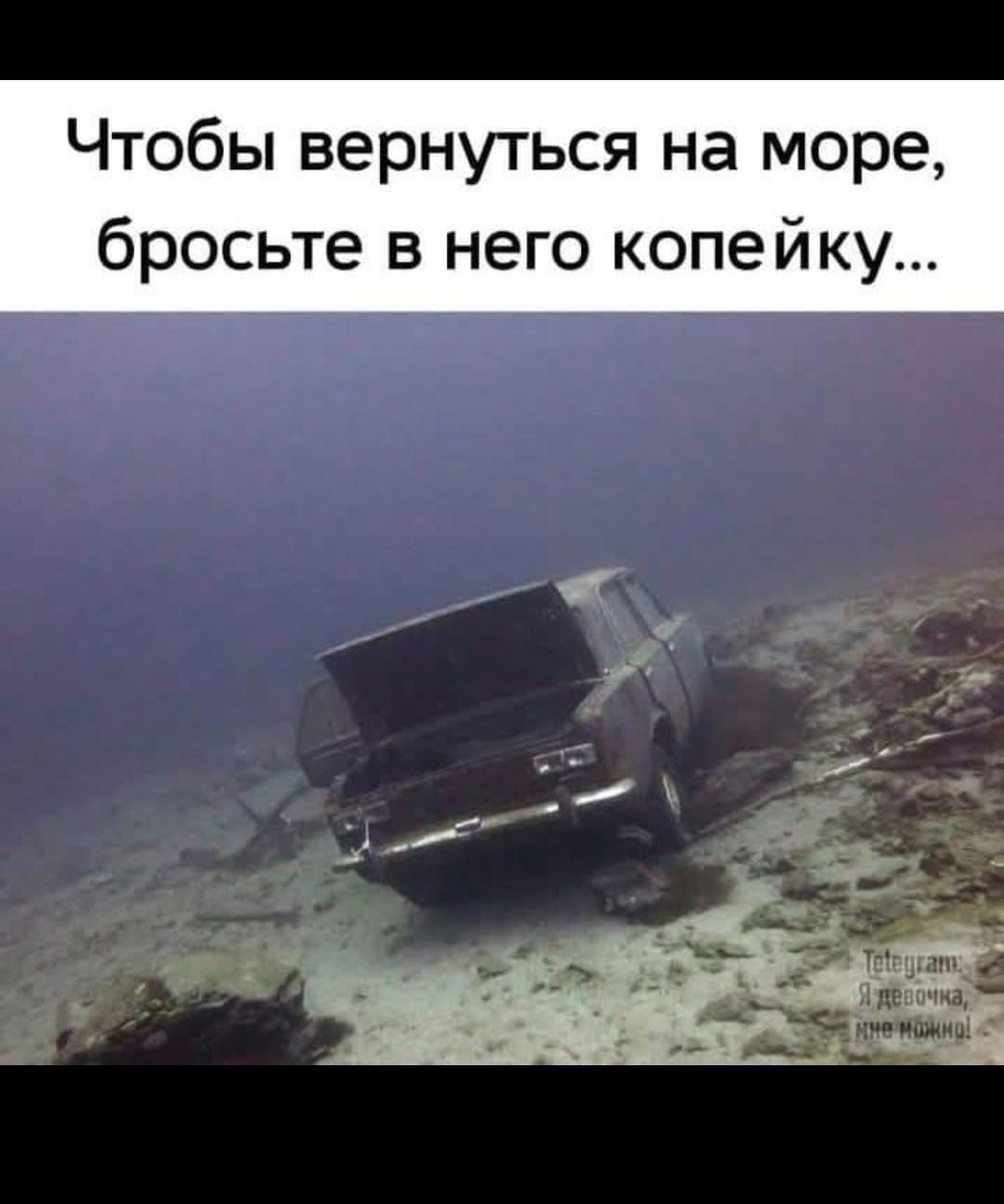 Чтобы вернуться на море бросьте в него копейку