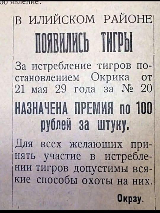 ООО ае о джес п о а В ИЛИЙСКОМ РАЙОНЕ ПОМВЛИСЬ ТИВЫ За истребление тигров по становлением Окрика от 21 мая 29 года за 20 НАЗНАЧЕНА ПРЕМИЯ по 100 рублей за Штуку Для всех желающих при нять участие в истребле нии тигров допустимы вся кие способы охоты на них РЕ аИ Окрзу