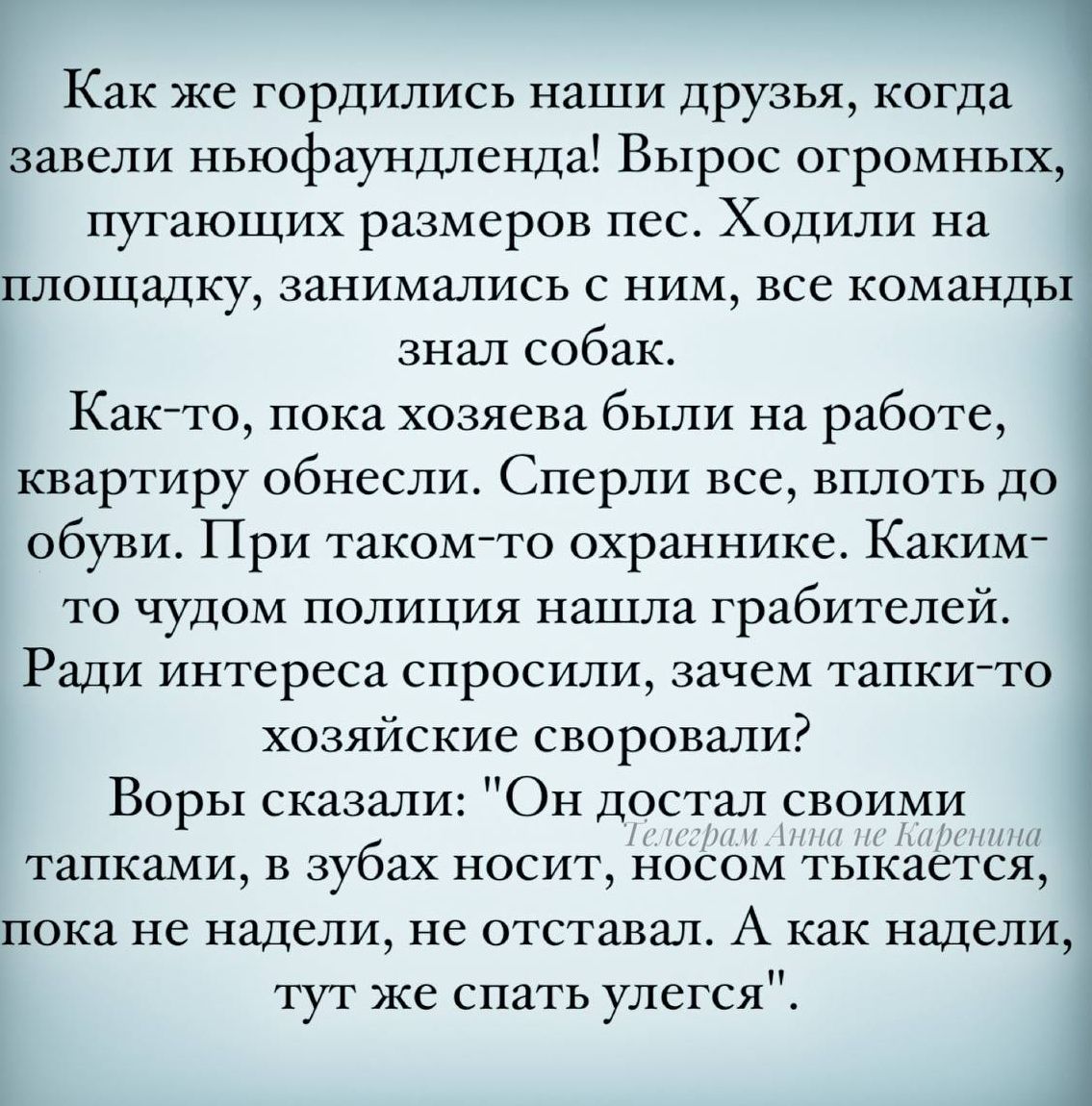 Как же гордились наши друзья когда завели ньюфаундленда Вырос огромных пугающих размеров пес ХОДИЛИ на площадку занимались с ним все команды знал собак Как то пока хозяева были на работе квартиру обнесли Сперли все вплоть до обуви При таком то охраннике Каким то чудом полиция нашла грабителей РШИ интереса спросили зачем тапкисто хозяйские СВОрОВЗЛИ