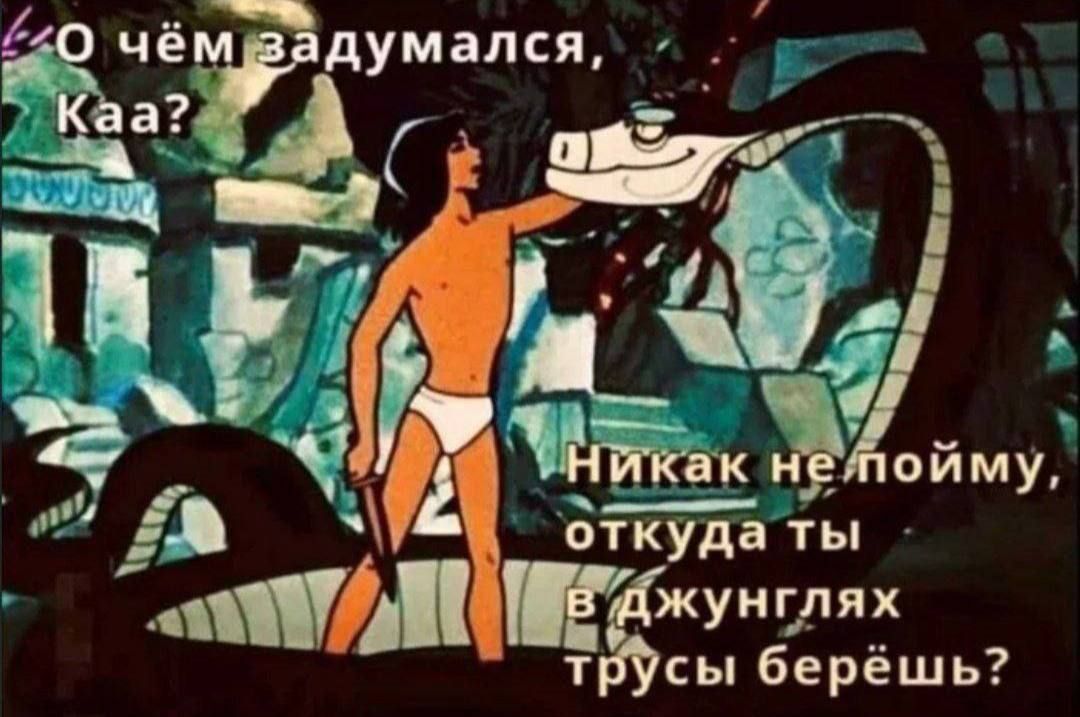 думался еа А СЧ _ ОТКУДЗ ТЫ дтп н жунглях трусы берёшь