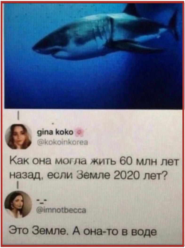 дпа КоКо Как она могла жить 60 млн лет назад если Земле 2020 лет тпоиеса Это Земле А она то в воде