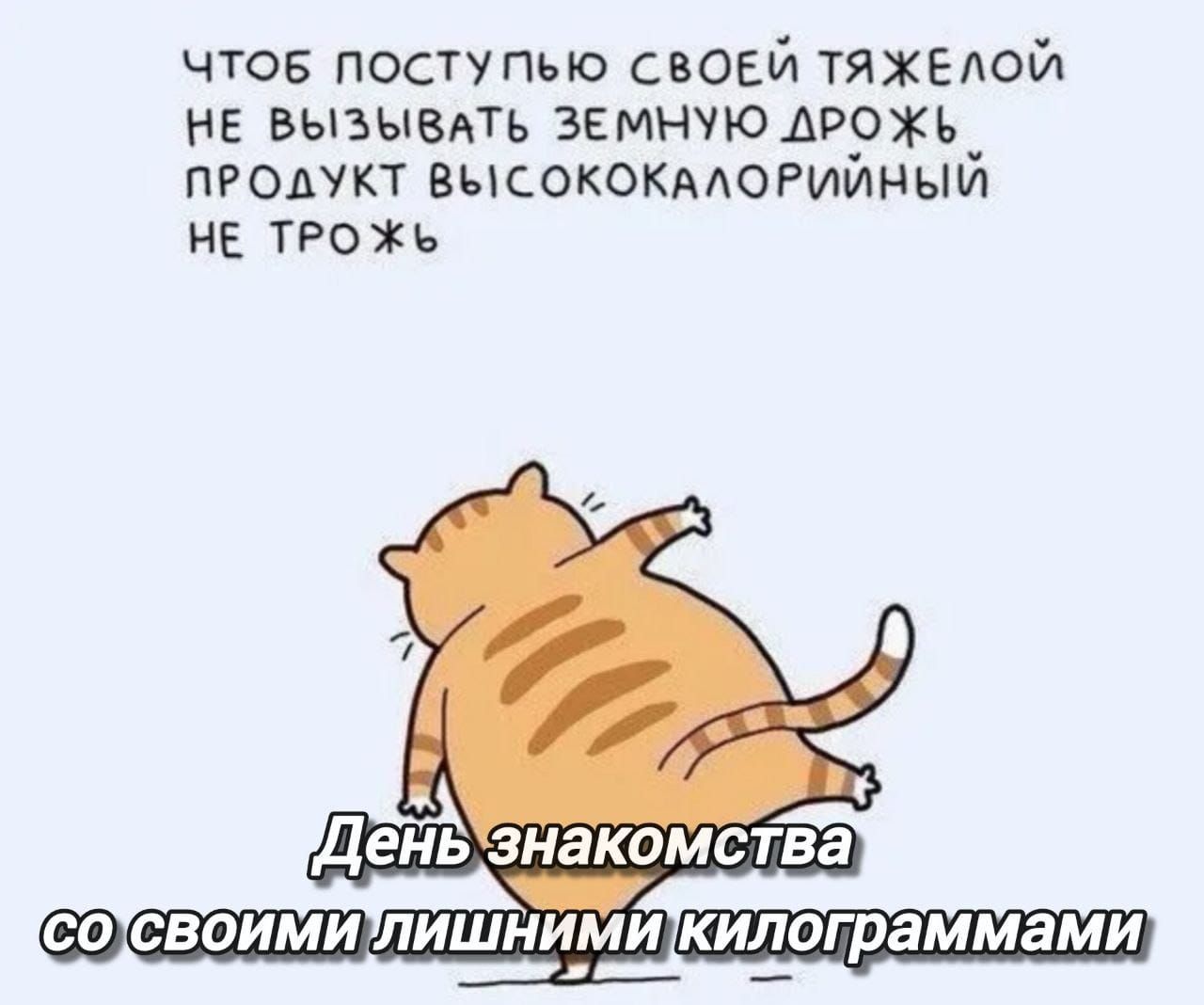 ЧТОБ ПОСТУПЬЮ СВОЕЙ ТЯЖЕЛОЙ НЕ ВЫЗЫВАТЬ ЗЕМНУЮ ДРОЖЬ ПРОДУКТ ВЫ СОКОКАЛОРИЙНЫЙ НЕ ТРОЖЬ ж День знакомства сотсвоймилишнимикилограммами