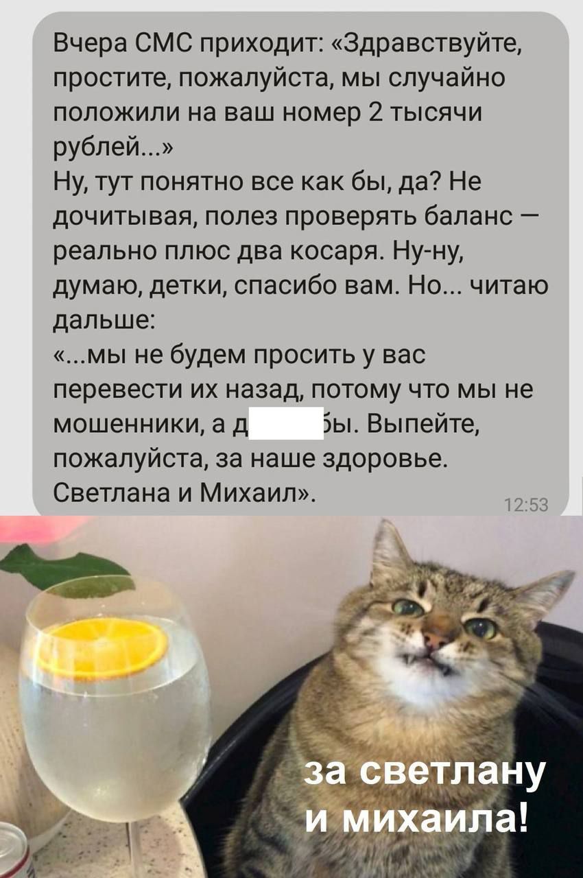 Вчера смс приходит: «здравствуйте, простите, пожалуйста, мы случайно положили на ваш номер 2 тысячи рублей...» ну, тут понятно все как бы, да? Не дочитывая, полез проверять баланс  реально плюс два косаря. Нуну, думаю, детки, спасибо вам. Но... Читаю дальше: «...мы не будем просить у вас перевести их назад, потому что мы не мошенники, а д зы. Выпейте, пожепуйстэ за наше здоровье. Светлана и михаил».