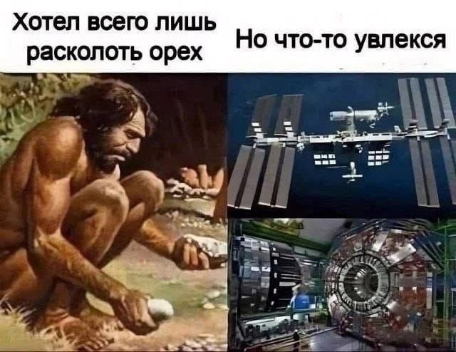 Хотел всего лишь сколоть орех но чтото увлекся