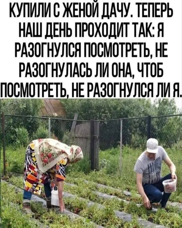 КУПИЛИ С ЖЕНОЙ ДАЧУ. ТЕПЕРЬ НАШ ДЕНЬ ПРОХОДИТ ТАК: Я РАЗОГНУЛСЯ ПОСМОТРЕТЬ, НЕ РАЗОГНУЛАСЬ ЛИ ОНА, ЧТОБ ПОСМОТРЕТЬ, НЕ РАЗОГНУЛСЯ ЛИ Я.