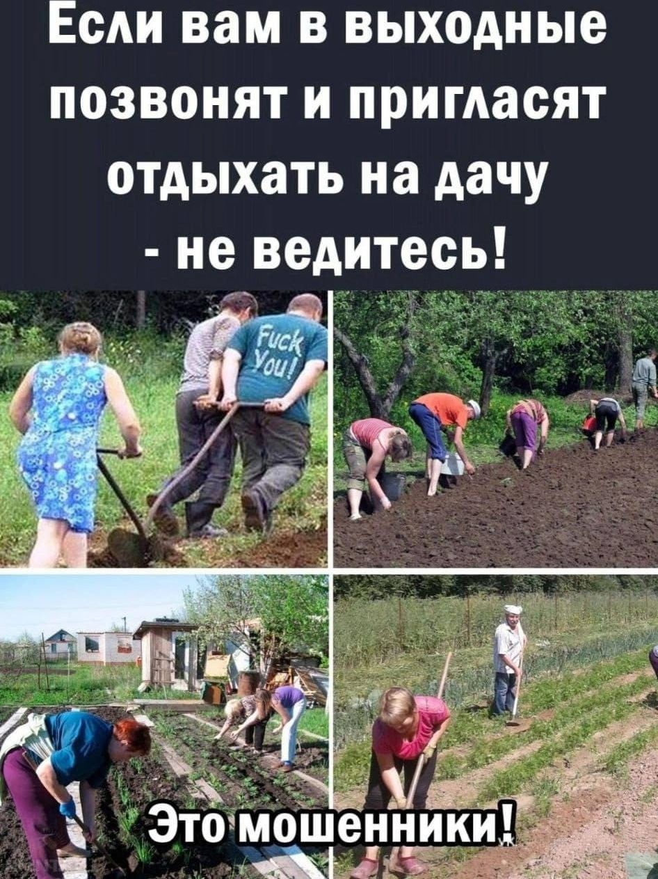 Если вам в выходные позвонят и пригласят отдыхать на дачу - не ведитесь! Это мошенники!