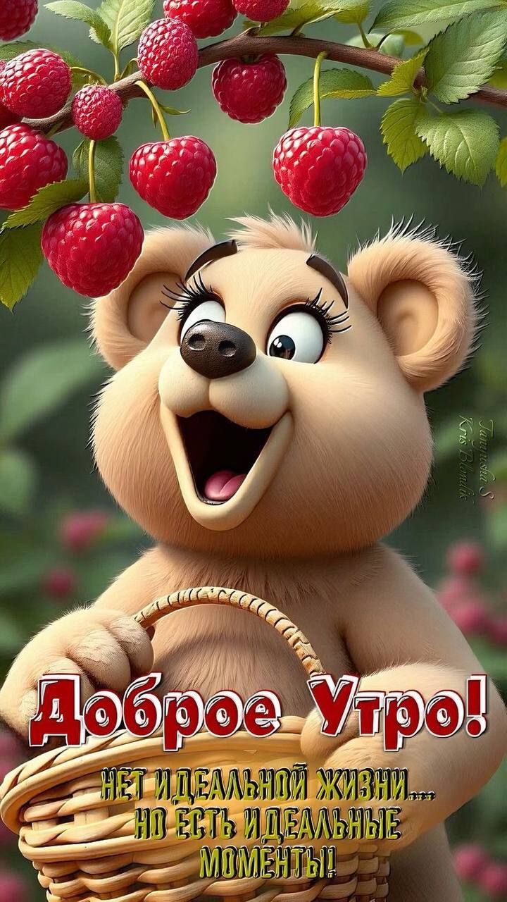 Доброе Утро!
Нет идеальной жизни...
Но есть идеальные моменты!