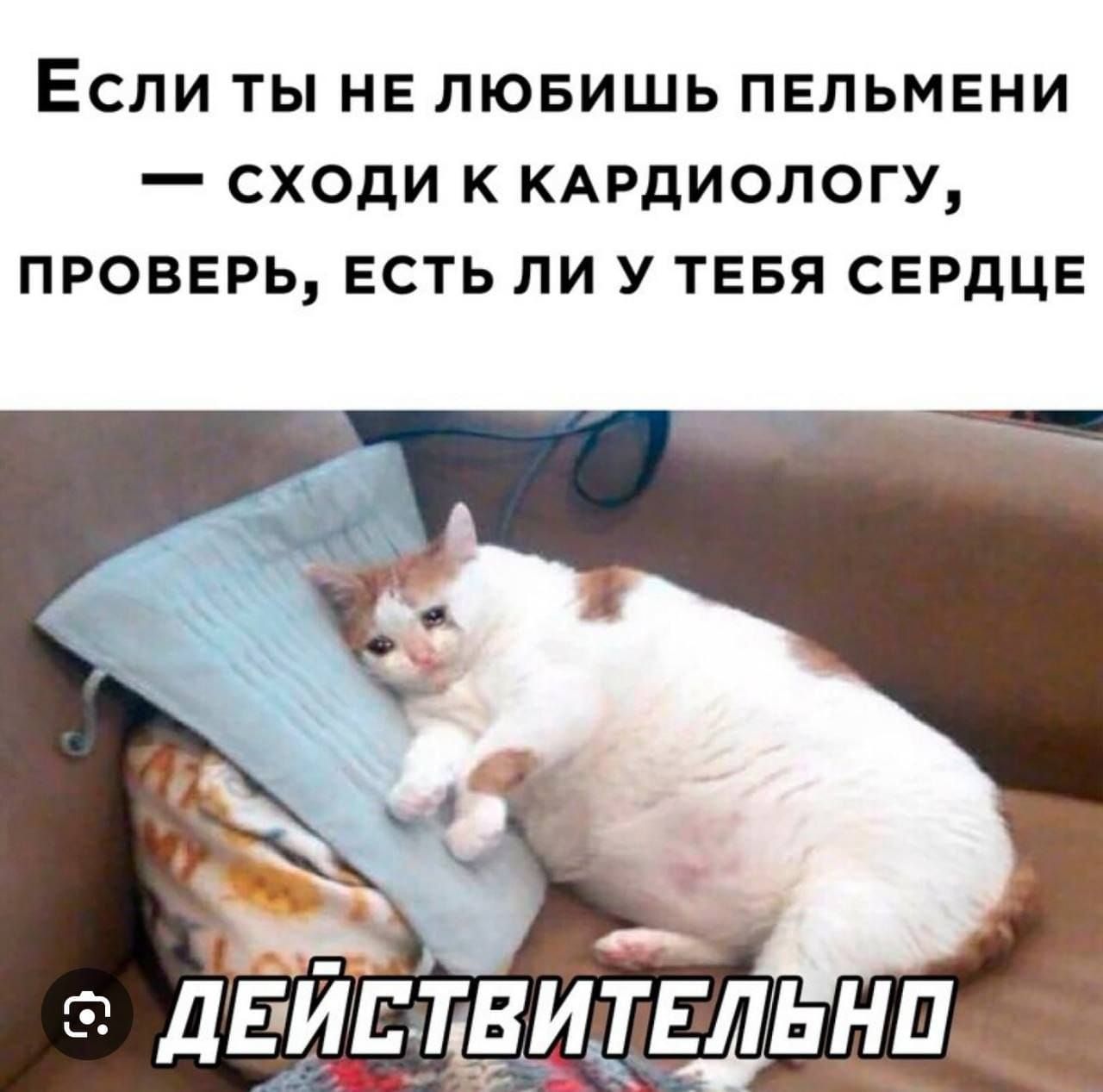 Если ты не любишь пельмени — сходи к кардиологу, проверь, есть ли у тебя сердце
ДЕЙСТВИТЕЛЬНО