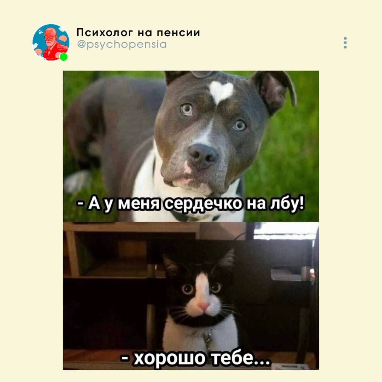 - А у меня сердечко на лбу!
- хорошо тебе...