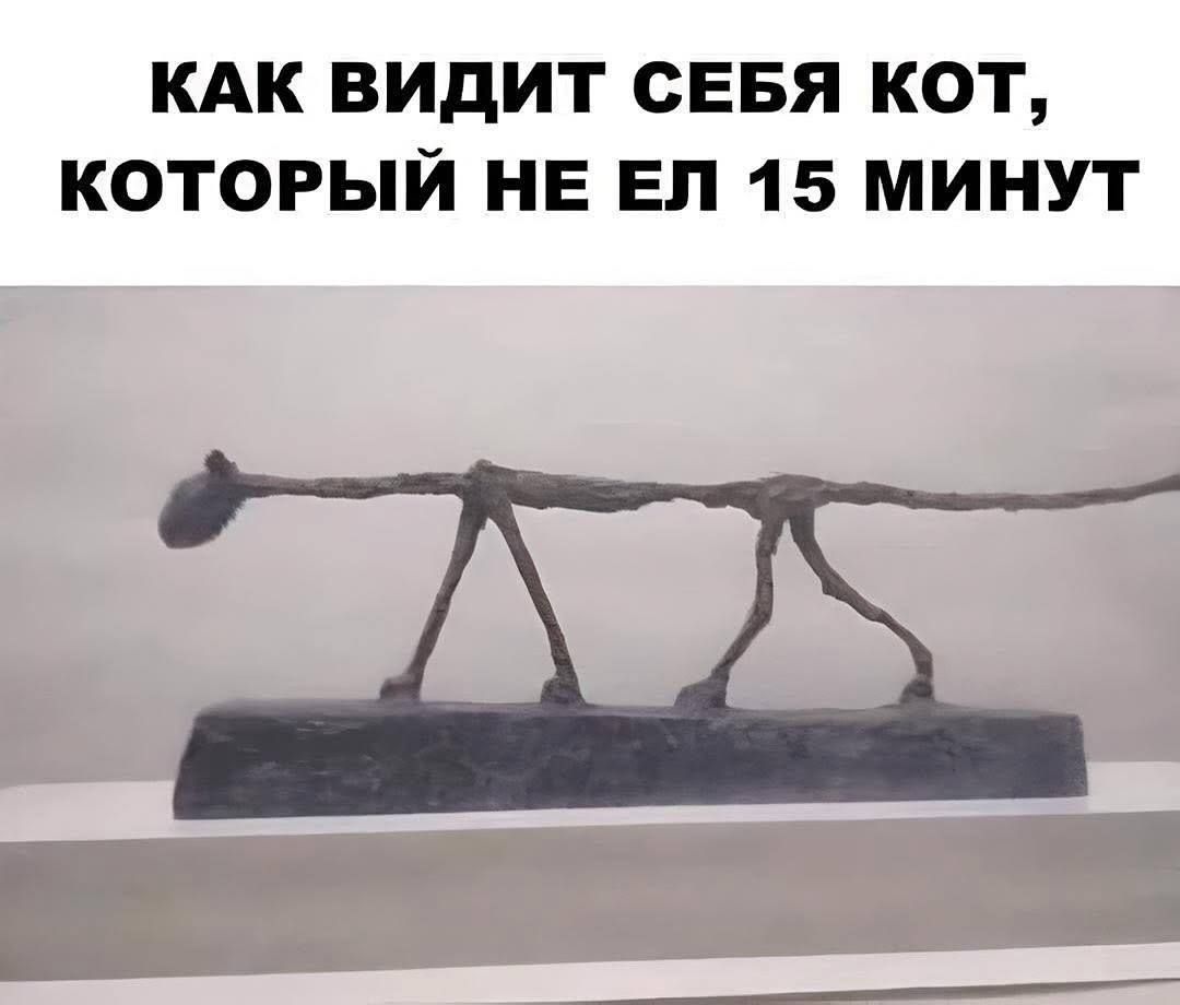 КАК ВИДИТ СЕБЯ КОТ, КОТОРЫЙ НЕ ЕЛ 15 МИНУТ