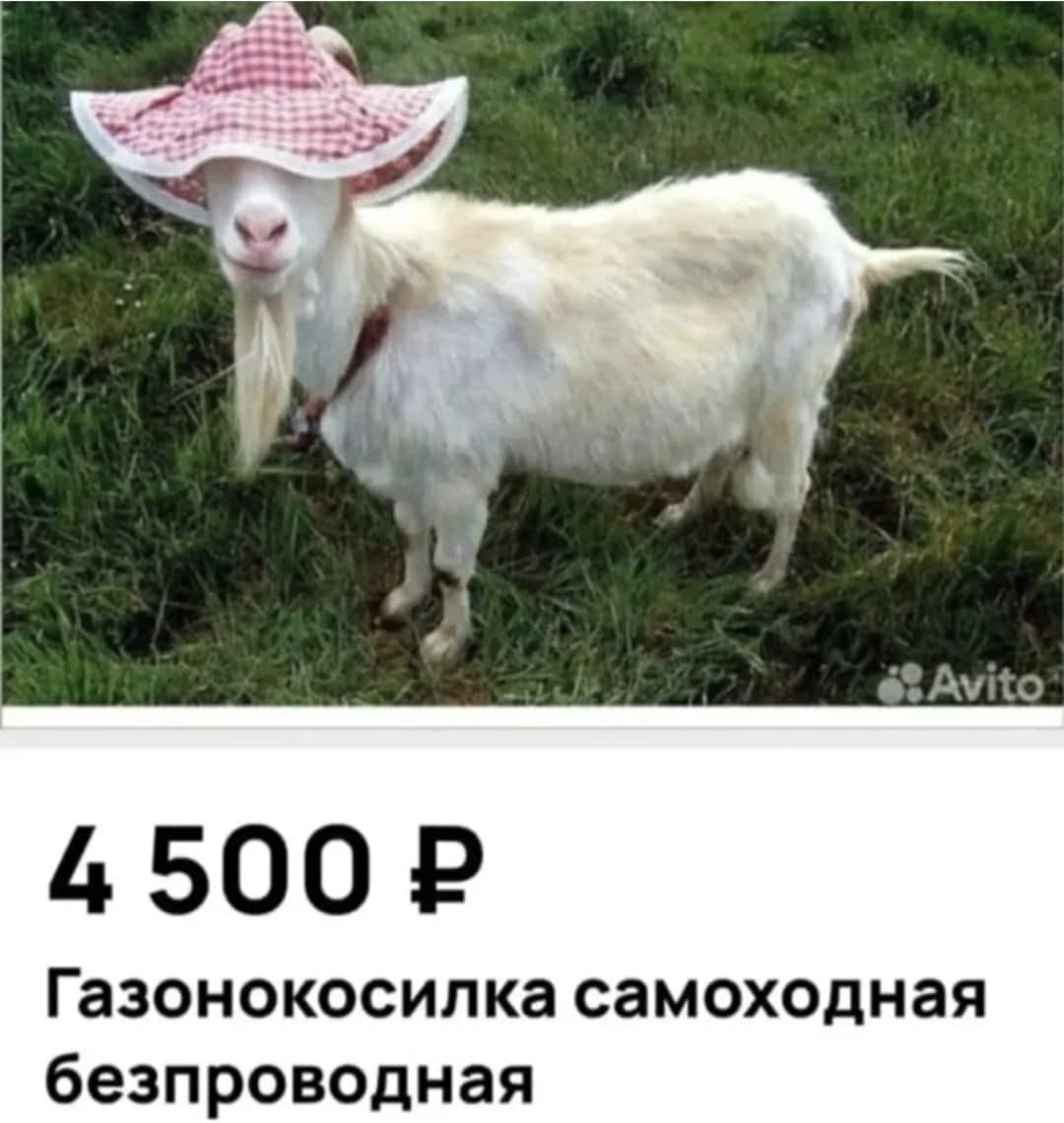 4 500 ₽ Газонокосилка самоходная безпроводная