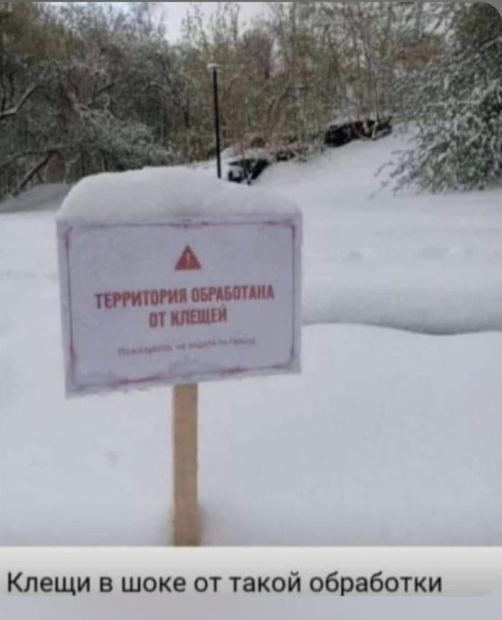 ТЕРРИТОРИЯ ОБРАБОТАНА ОТ КЛЕЩЕЙ
Пожалуйста, не заходите на траву.
Клещи в шоке от такой обработки
