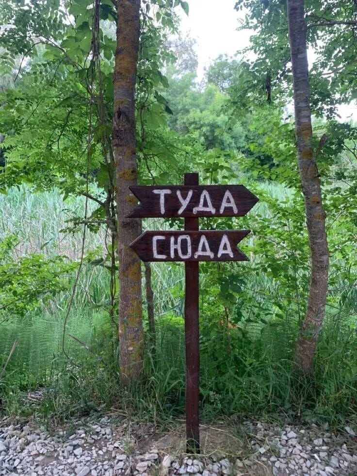 ТУДА СЮДА