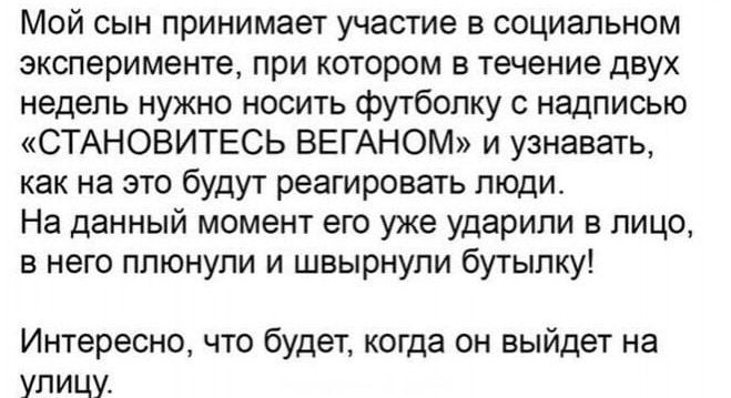 Мой сын принимает участие в социальном эксперименте, при котором в течение двух недель нужно носить футболку с надписью «СТАНОВИТЕСЬ ВЕГАНОМ» и узнавать, как на это будут реагировать люди.
На данный момент его уже ударили в лицо, в него плевнули и швыранули бутылку!
Интересно, что будет, когда он выйдет на улицу.