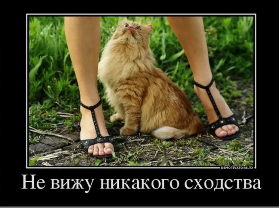 Не вижу никакого сходства