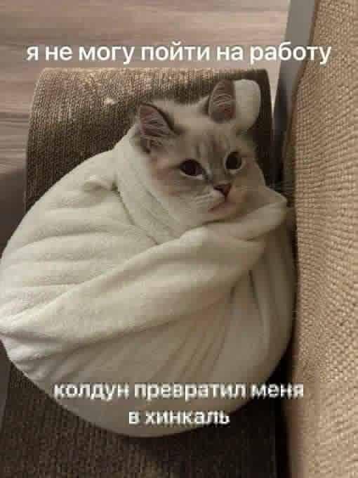 я не могу пойти на работу
колдун превратил меня в хинкаль