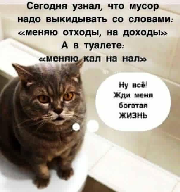 Сегодня узнал, что мусор надо выкидывать со словами: «меняю отходы, на доходы» А в туалете: «меняю кал на нал» Ну всё! Жди меня богатая ЖИЗНЬ