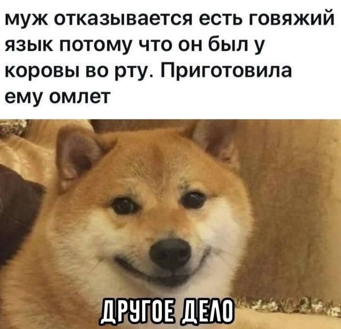 муж отказывается есть говяжий язык потому что он был у коровы во рту. Приготовила ему омлет