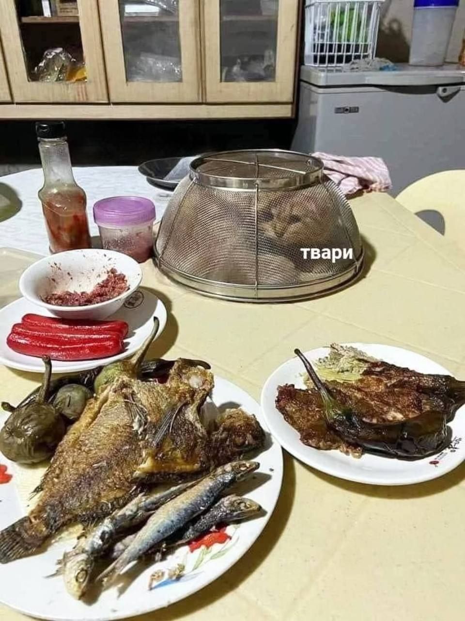 твари