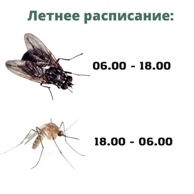 Летнее расписание:
06.00 - 18.00
18.00 - 06.00