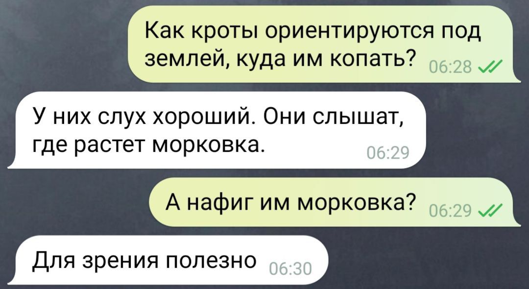 Как кроты ориентируются под землёй, куда им копать?
У них слух хороший. Они слышат, где растёт морковка.
А нафиг им морковка?
Для зрения полезно.
