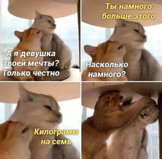 Ты намного больше этого
А я девушка твоей мечты? Только честно
Насколько намного?
Килограмм на семь