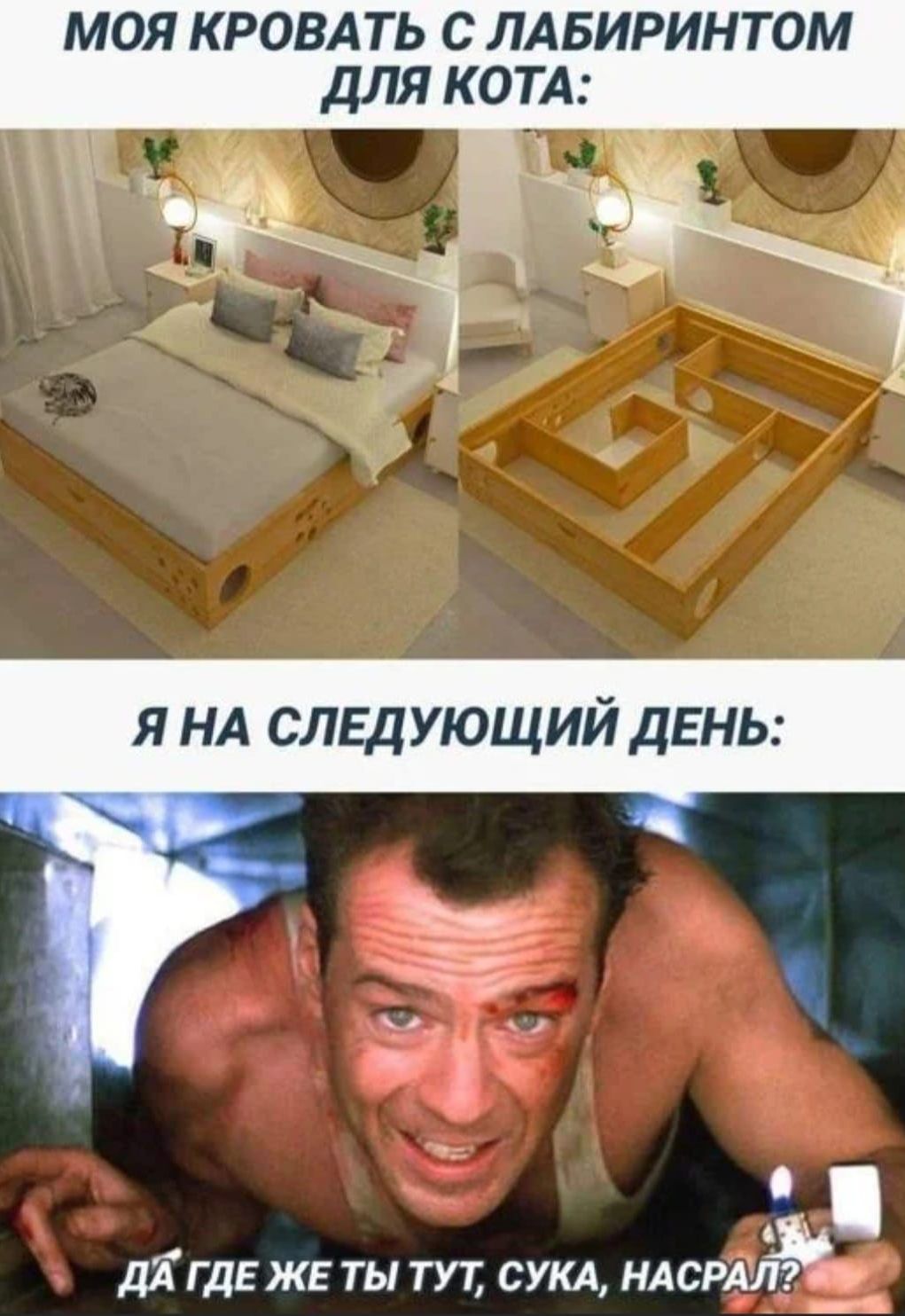 МОЯ КРОВАТЬ С ЛАБИРИНТОМ ДЛЯ КОТА:
Я НА СЛЕДУЮЩИЙ ДЕНЬ:
ДА ГДЕ ЖЕ ТЫ ТУТ, СУКА, НАСРАЛ?