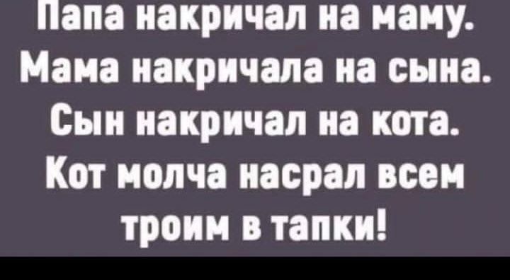 Папа накричал на маму.
Мама накричала на сына.
Сын накричал на кота.
Кот молча насрал всем троим в тапки!