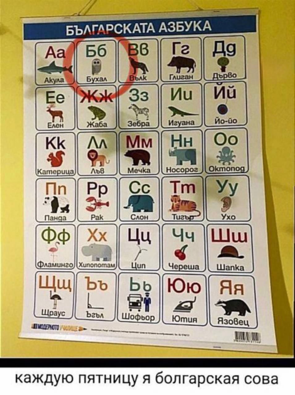 каждую пятницу я болгарская сова