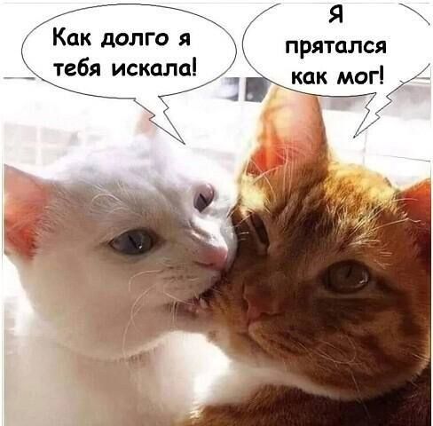Как долго я тебя искала! Я прятался как мог!