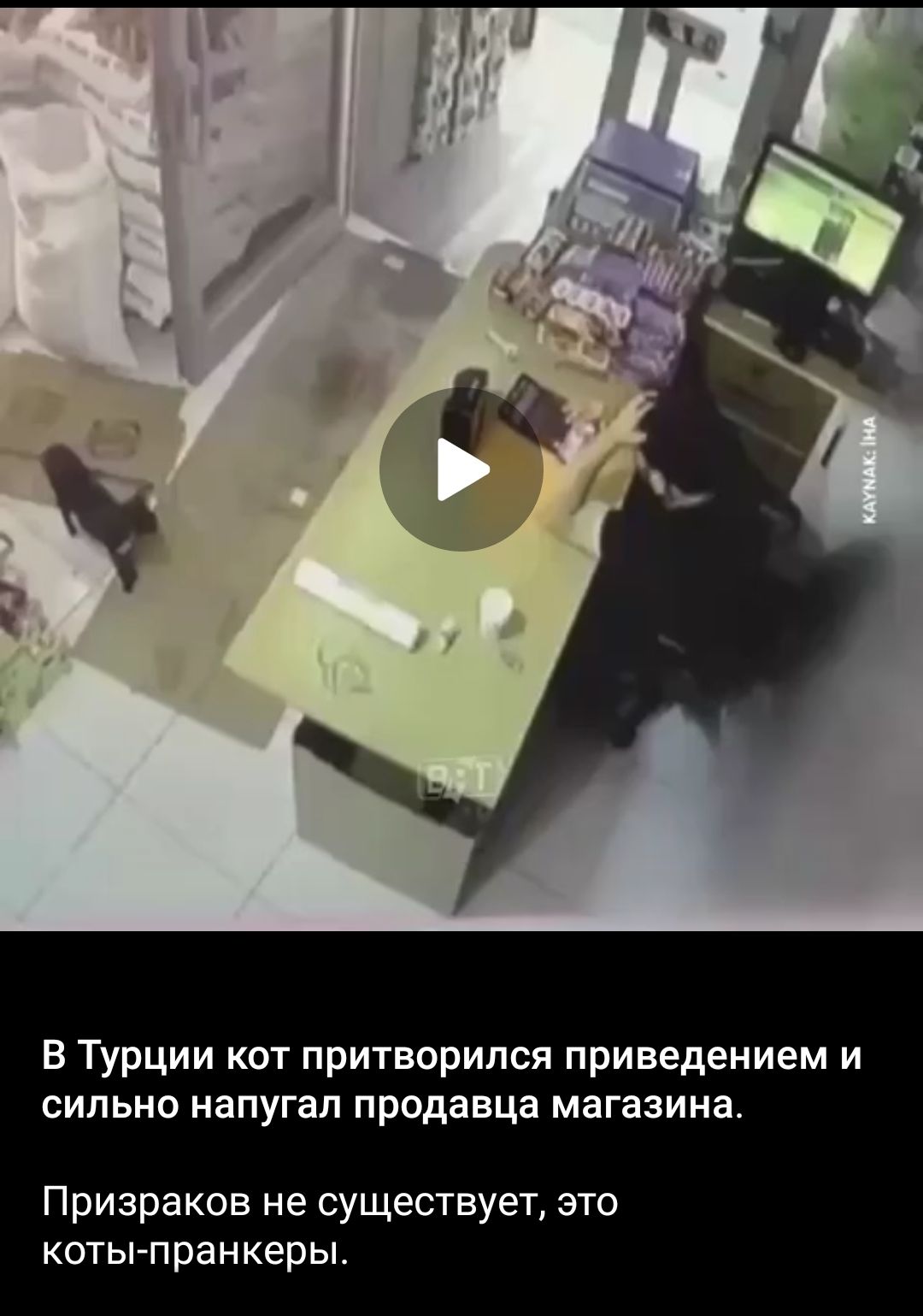 В Турции кот притворился привидением и сильно напугал продавца магазина.
Призраков не существует, это коты-пранкеры.